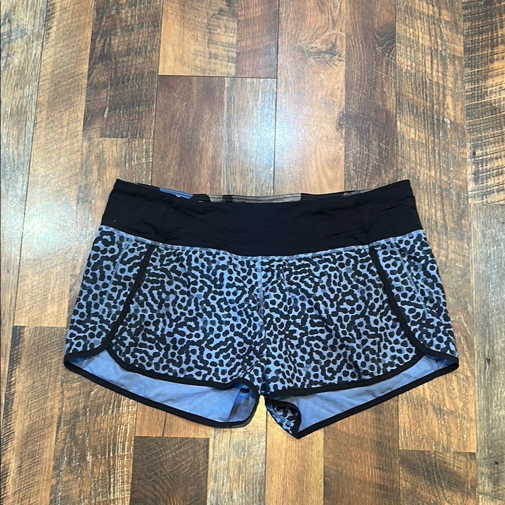 Women's Black and Gray Leopard Print Shorts 12 (3975)
